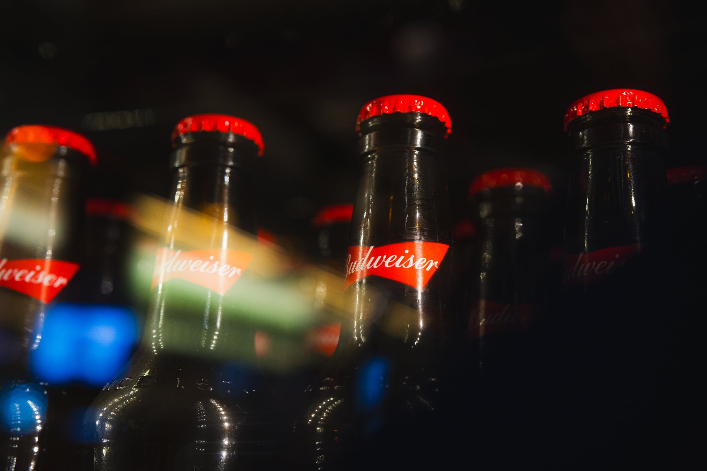 Tampas vermelhas das garrafas de Budweiser na geladeira do bar