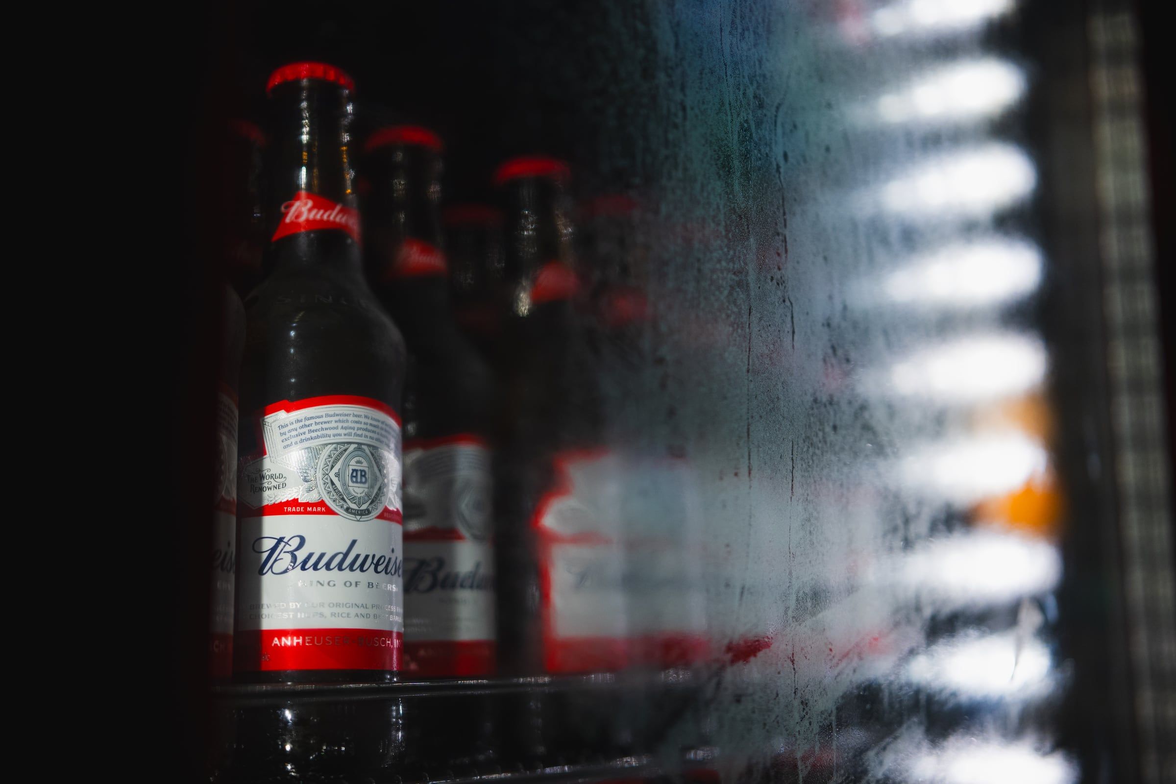 Garrafas de Budweiser na geladeira embaçada do bar